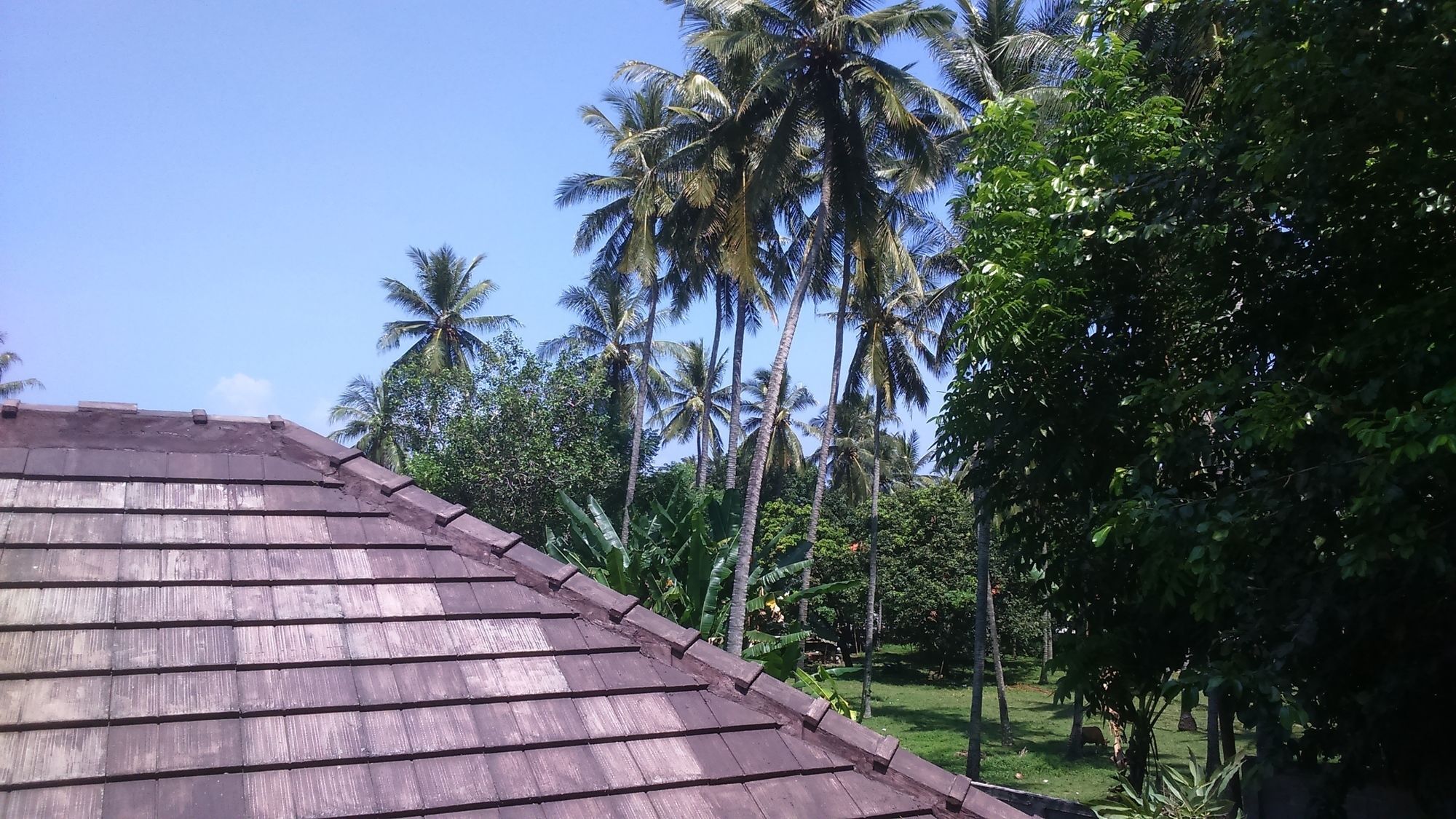 Senggigi Cottages Lombok מראה חיצוני תמונה